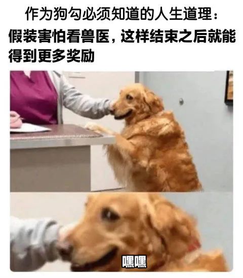 图片[6]-中午好 发表情啦-喜欢表情包分享—全网表情包