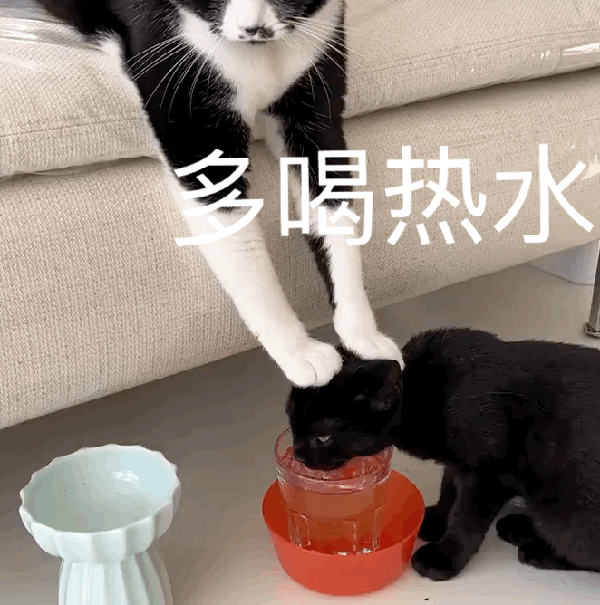 图片[3]-打出一连串骂你的脏话-喜欢表情包分享—全网表情包