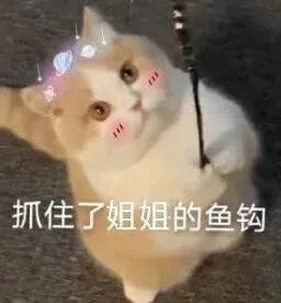 图片[23]-我能和你用情侣头像吗-喜欢表情包分享—全网表情包