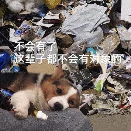 图片[11]-有点意思-喜欢表情包分享—全网表情包