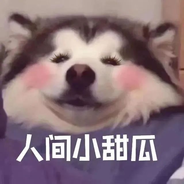 图片[23]-沙雕表情包-喜欢表情包分享—全网表情包