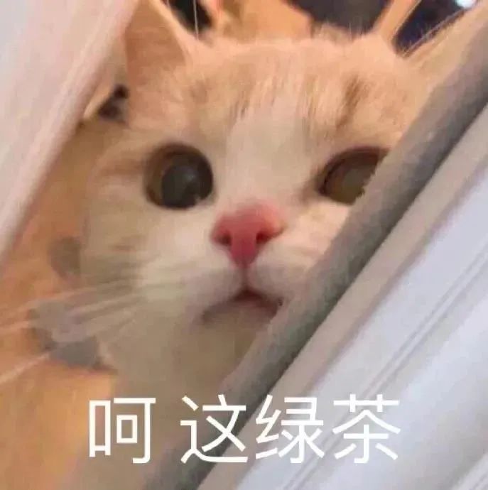 图片[7]-吃饼干吗 小妹妹-喜欢表情包分享—全网表情包
