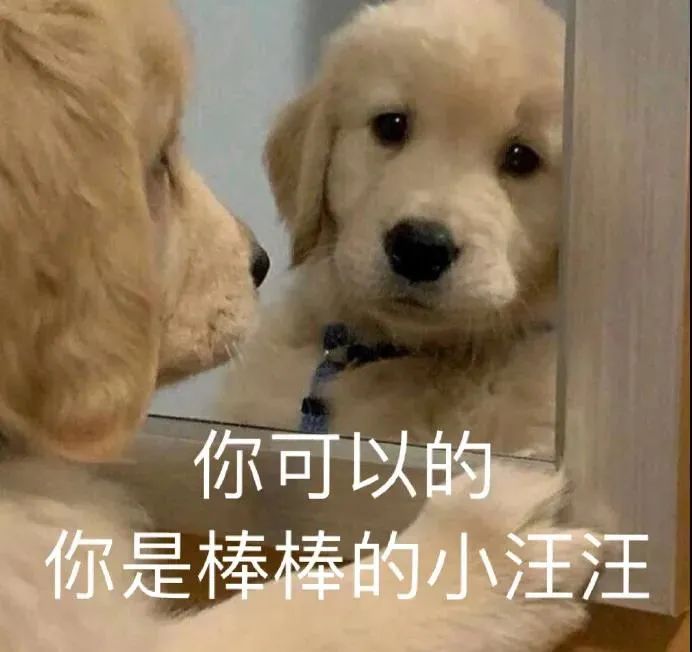 图片[33]-拿撸路多-喜欢表情包分享—全网表情包