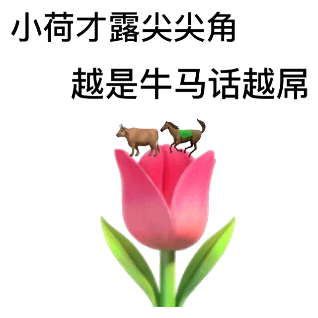 图片[2]-个性沙雕表情包-喜欢表情包分享—全网表情包