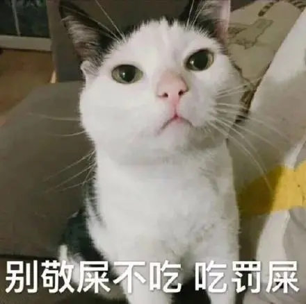 1637165572990