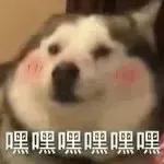 0fd91ca4e194f48df9b1329b182b2c40