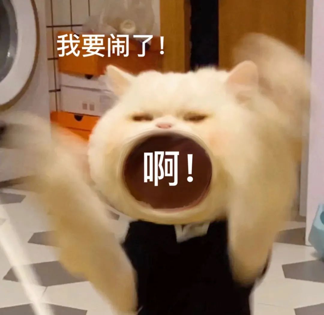 图片[17]-45个聊天撒娇必用大嘴猫表情-喜欢表情包分享—全网表情包
