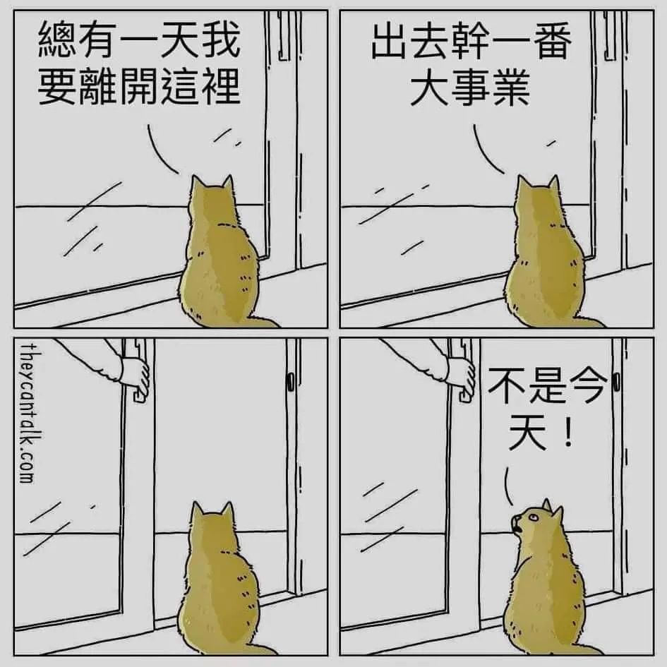 图片[8]-骚表情包-喜欢表情包分享—全网表情包