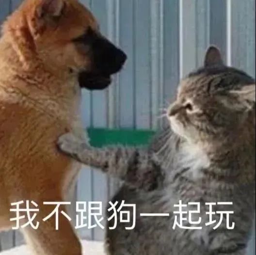 图片[10]-表情包-喜欢表情包分享—全网表情包