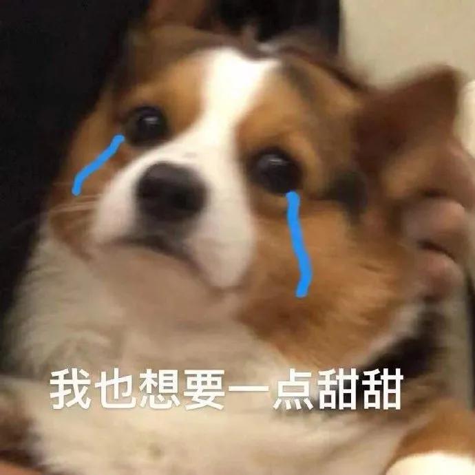 图片[23]-只想做你一个人的舔狗-喜欢表情包分享—全网表情包