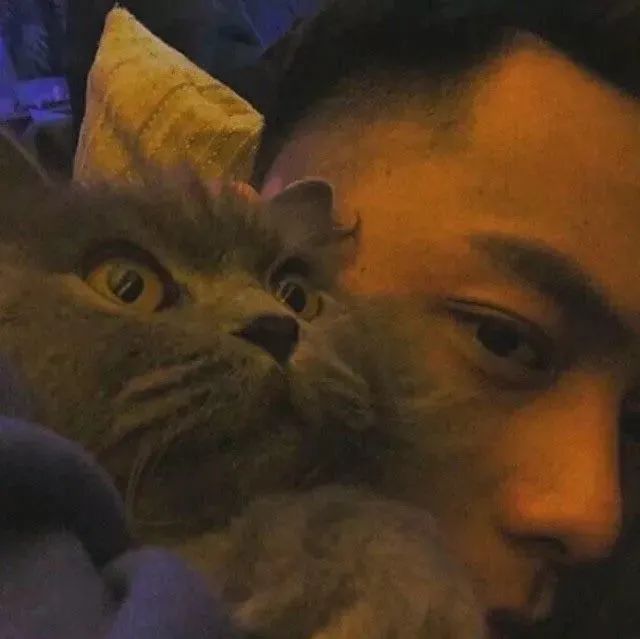 图片[26]-找了一组好看的微信头像，试试呗-喜欢表情包分享—全网表情包