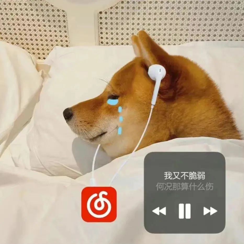 图片[6]-旋转拿捏-喜欢表情包分享—全网表情包