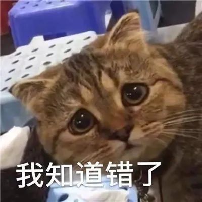 图片[9]-超赞道歉专用表情包-喜欢表情包分享—全网表情包