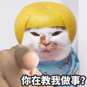 图片[2]-你在教我做事？-喜欢表情包分享—全网表情包