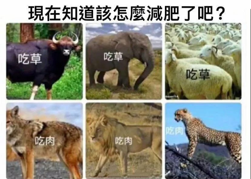 图片[6]-老婆开门-喜欢表情包分享—全网表情包