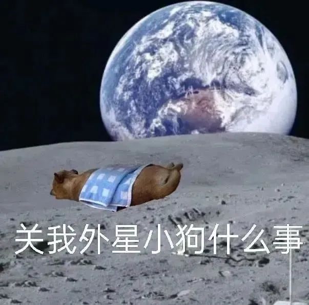 图片[6]-表情包：我在核废水排污点很想你-喜欢表情包分享—全网表情包