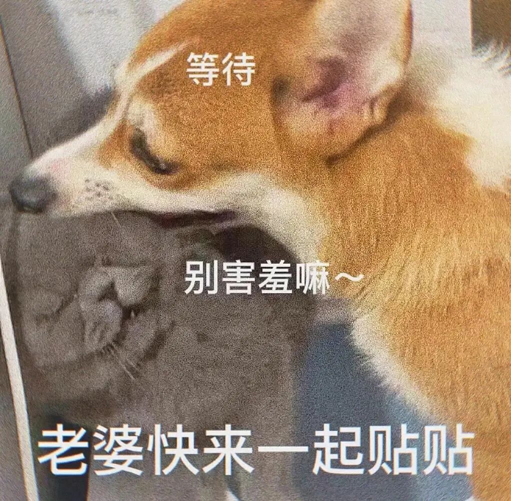 图片[14]-我能和你用情侣头像吗-喜欢表情包分享—全网表情包