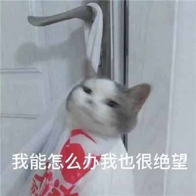 图片[8]-那些笑死人的沙雕表情包-喜欢表情包分享—全网表情包