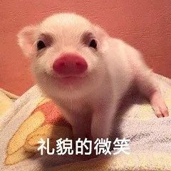 图片[5]-猪猪表情包-喜欢表情包分享—全网表情包