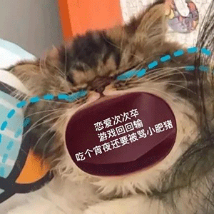 图片[33]-45个聊天撒娇必用大嘴猫表情-喜欢表情包分享—全网表情包