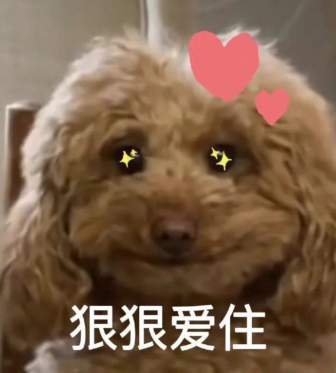 图片[1]-狠狠爱住表情包-喜欢表情包分享—全网表情包