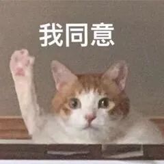 图片[17]-社交牛逼症表情包-喜欢表情包分享—全网表情包