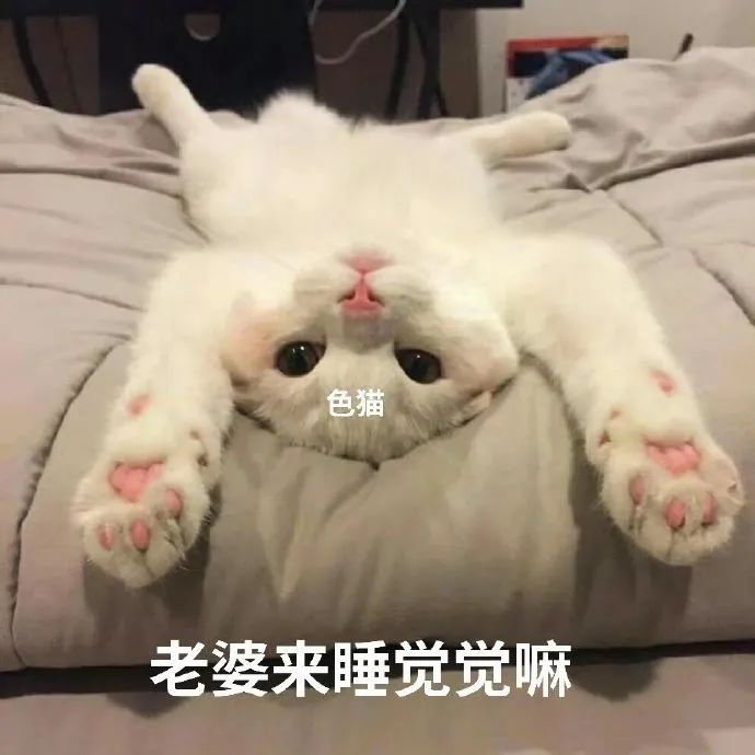 图片[31]-你想要我的亲亲吗-喜欢表情包分享—全网表情包