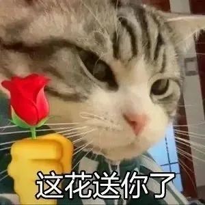 图片[16]-打住打住-喜欢表情包分享—全网表情包