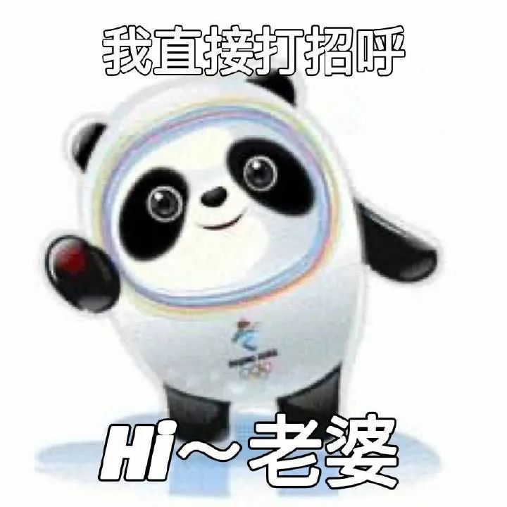 图片[19]-冰墩墩表情包 | 我是他的表弟铁憨憨-喜欢表情包分享—全网表情包