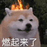 图片[17]-没见过别人亲热吗-喜欢表情包分享—全网表情包