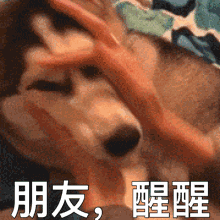 图片[7]-我可是你骚断的腿-喜欢表情包分享—全网表情包