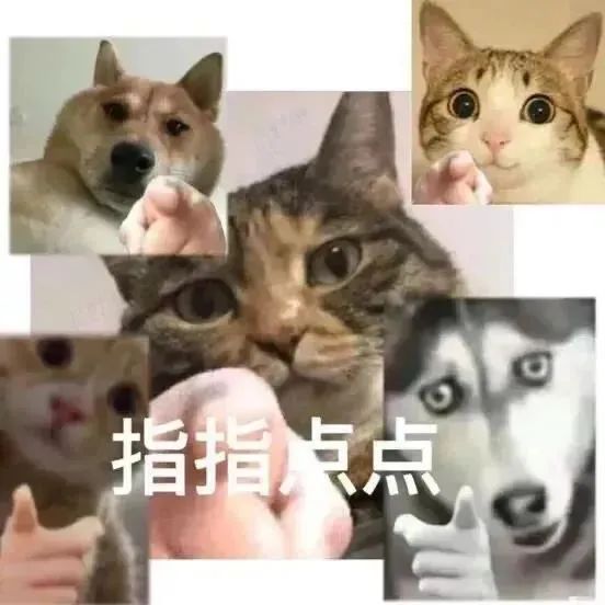 图片[11]-指指点点-喜欢表情包分享—全网表情包