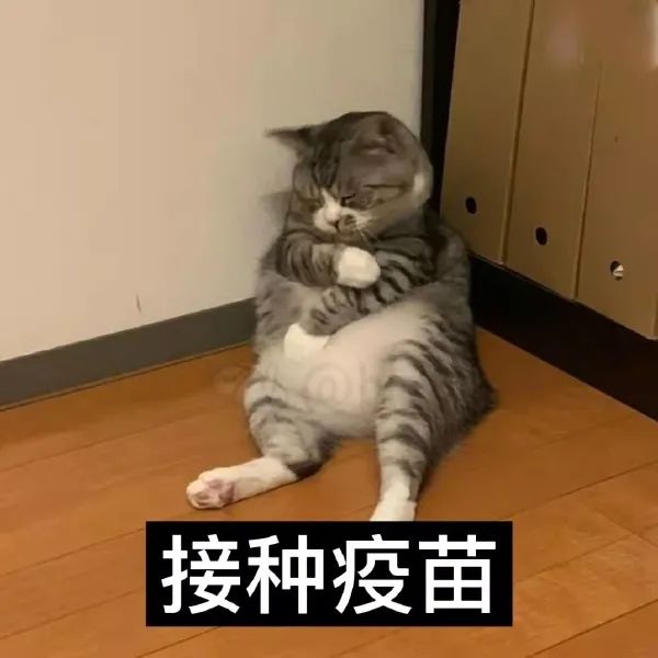 图片[1]-戴好口罩 人人有责-喜欢表情包分享—全网表情包