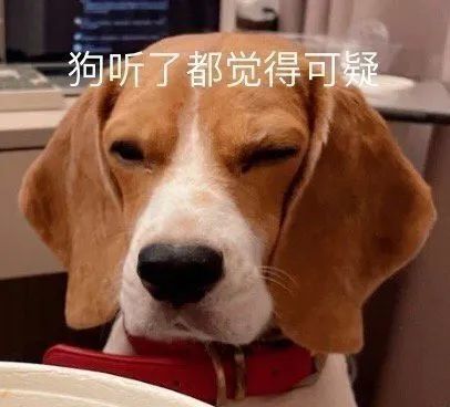 图片[22]-没见过别人亲热吗-喜欢表情包分享—全网表情包