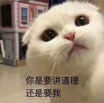图片[13]-啵叽-喜欢表情包分享—全网表情包