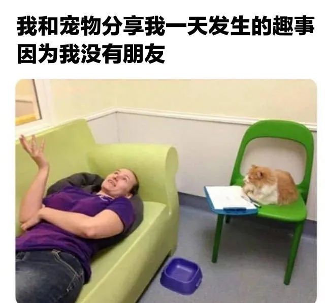图片[14]-实用表情包 火速来收图-喜欢表情包分享—全网表情包