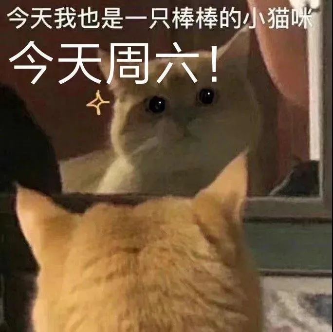 图片[6]-奇怪的表情增加了-喜欢表情包分享—全网表情包