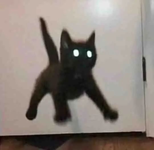 图片[10]-可爱的猫猫头增加了-喜欢表情包分享—全网表情包
