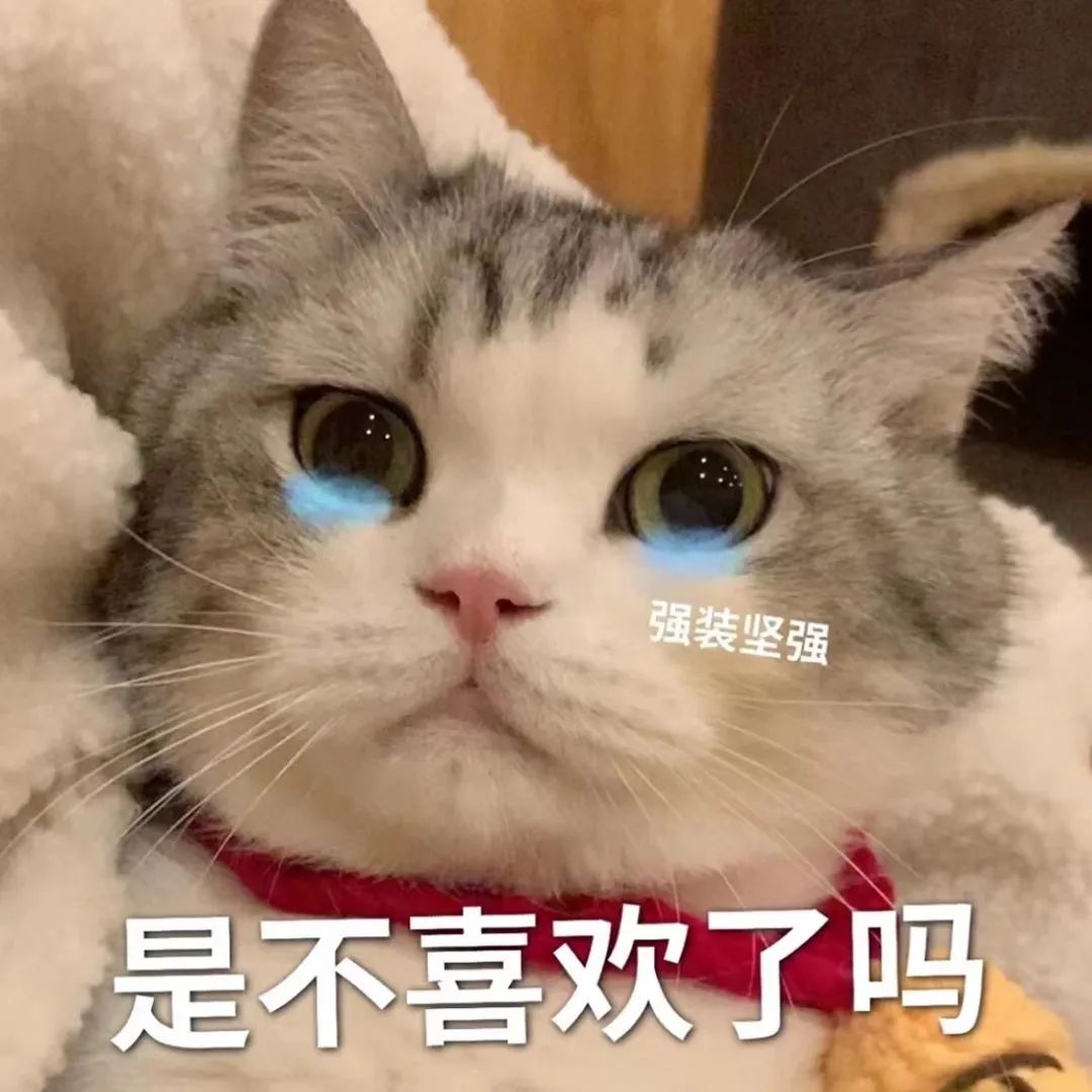 图片[55]-60个精选聊天可爱表情包-喜欢表情包分享—全网表情包
