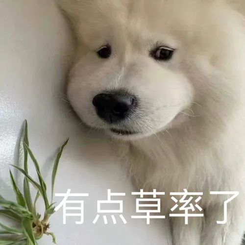 图片[17]-打出一连串骂你的脏话-喜欢表情包分享—全网表情包