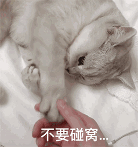 图片[7]-来一局-喜欢表情包分享—全网表情包