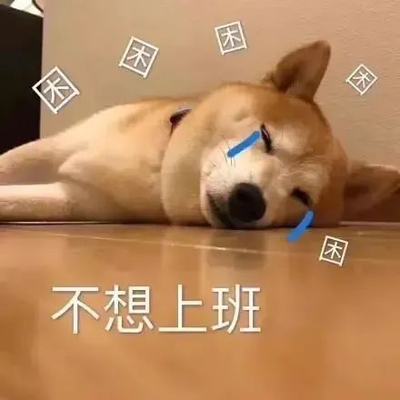 图片[14]-新打工人表情包-喜欢表情包分享—全网表情包