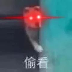 图片[1]-想死啊，看我激光眼!-喜欢表情包分享—全网表情包