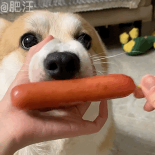 图片[25]-聊天沙雕表情包，承包了！-喜欢表情包分享—全网表情包