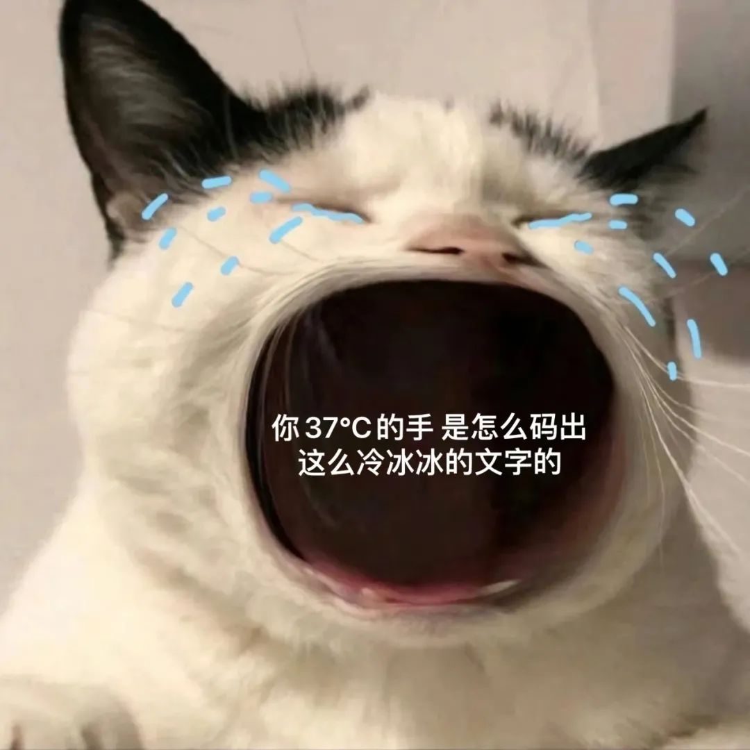图片[7]-45个聊天撒娇必用大嘴猫表情-喜欢表情包分享—全网表情包
