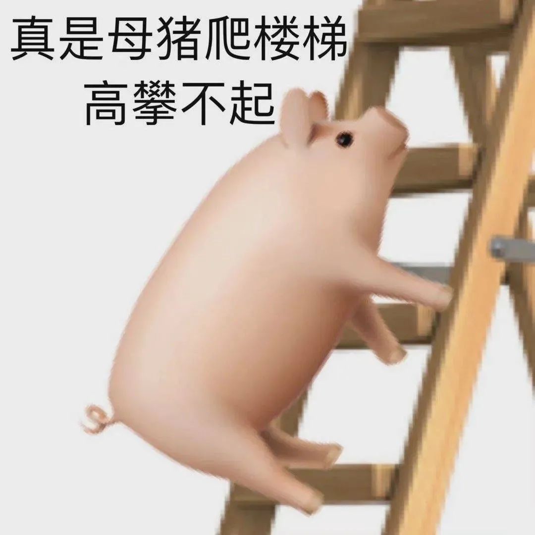 图片[12]-破 大 防-喜欢表情包分享—全网表情包