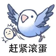图片[15]-最近热门鸟语表情-喜欢表情包分享—全网表情包