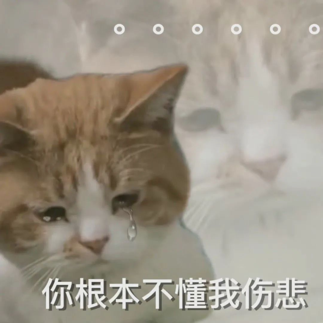 图片[10]-伤心流泪猫猫头表情包-喜欢表情包分享—全网表情包