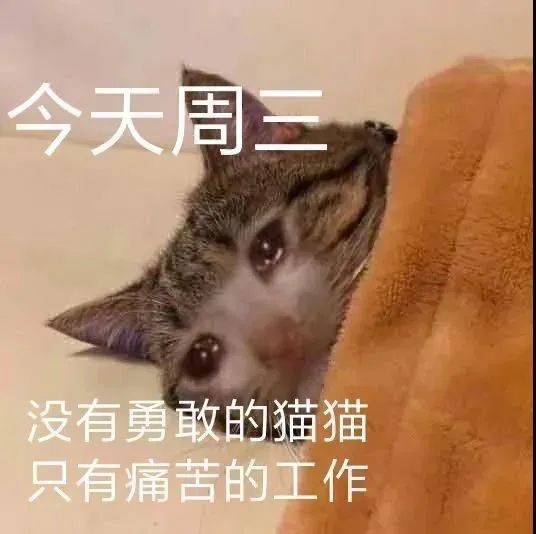 图片[3]-奇怪的表情增加了-喜欢表情包分享—全网表情包