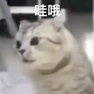 图片[12]-50个聊天阴阳怪气的表情包-喜欢表情包分享—全网表情包